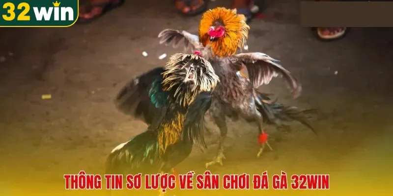 Khái niệm về đá gà 32WIN