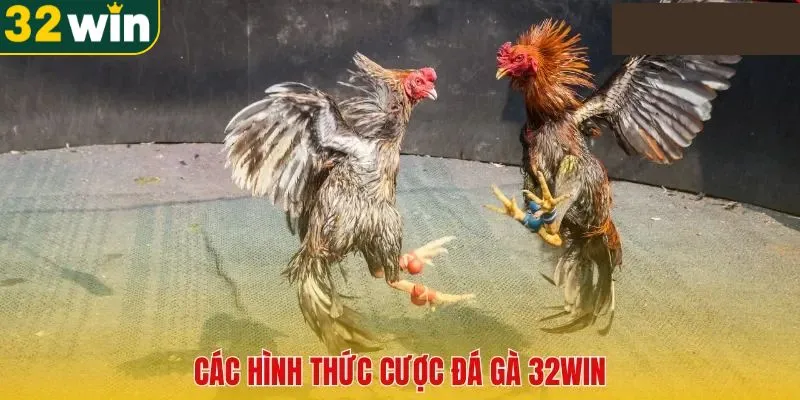 Tổng hợp các hình thức chọi gà 32WIN phổ biến nhất hiện nay